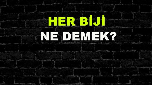 Her Biji Ne Demek? İşte Anlamı