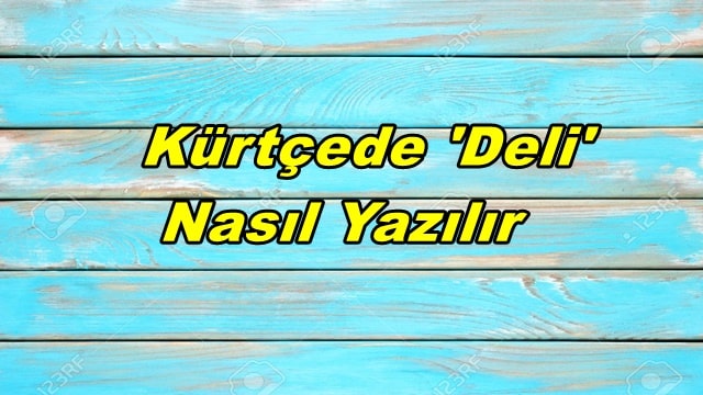 Kürtçede 'deli' nasıl söylenir? Kürtçede 'deli' kelimesi Dîn şeklinde yazılır. Önemli: Dîn kelimesi Türkçedeki Din kelimesiyle bir ilgisi yoktur. Sen Delisin Kürtçe Nasıl Söylenir? 'Sen Delisin' Kürtçede 'Tü Dîni' olarak yazılır. Kürtçede Kızlar -Erkekler için Deli Nasıl Denir? Kürtçede İngilizcede olduğu gibi kızlar için ayrı erkekler için ayrı ekler kullanılır. Kürtçede Deli kelimesi Kızlar için 'deli' ⇒ Dîne Erkekler için 'deli' ⇒  Dîno şeklinde yazılır. Genel anlamda cümle içinde kullanırken bu ayrım yapılmaz.Erkekler ve kızlar için de 'Sen Delisin' cümlesi belirttiğimiz 'Tü Dîni 'olarak yazılır.