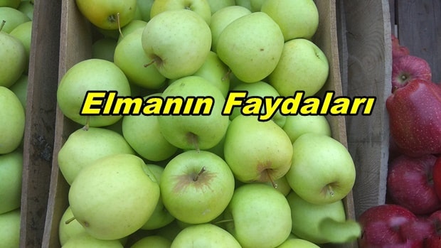 Elmanın Sağlığa 10 Faydası