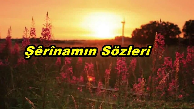 Şêrînamın(Şirinamın) Kürtçe Şarkı Sözleri ve Türkçe Anlamı