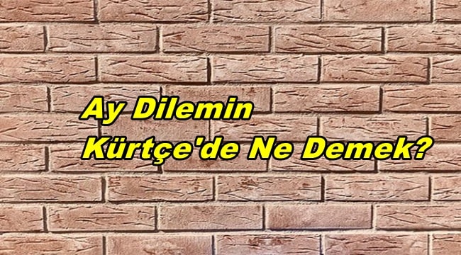 dilemin ne demek