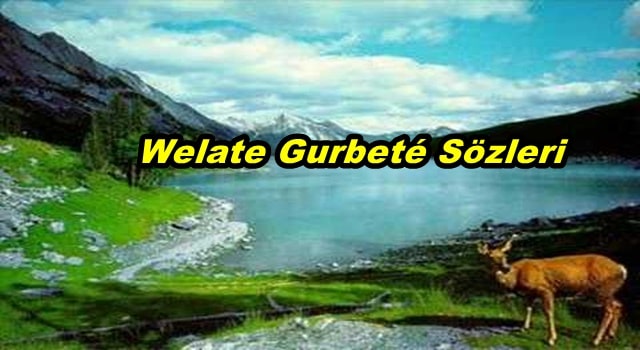 Welate Xurbete Sözleri Türkçe