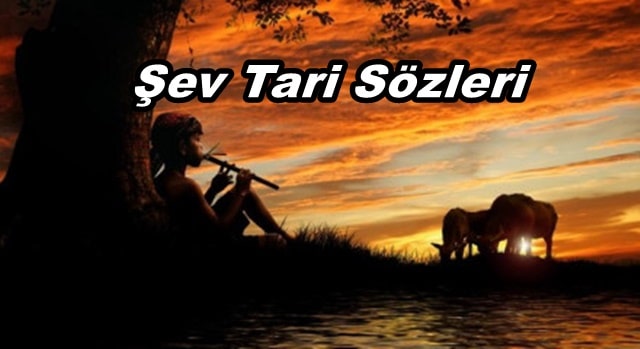 Şev Tari Kürtçe ve Türkçe Sözleri