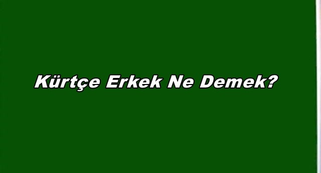 Kürtçe Erkek Ne Demek?