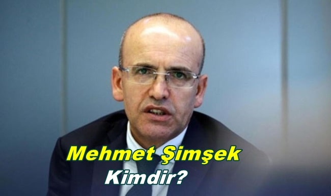 Mehmet Şimşek Kimdir? Nerelidir? Mehmet Şimşek Kürt mü?